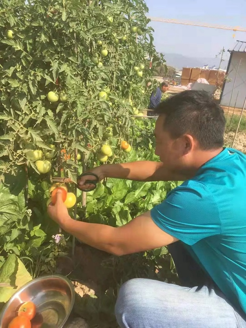 1579664451739759.jpg c3.webp.jpg